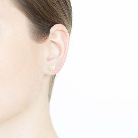 [Jwel] - singularu test